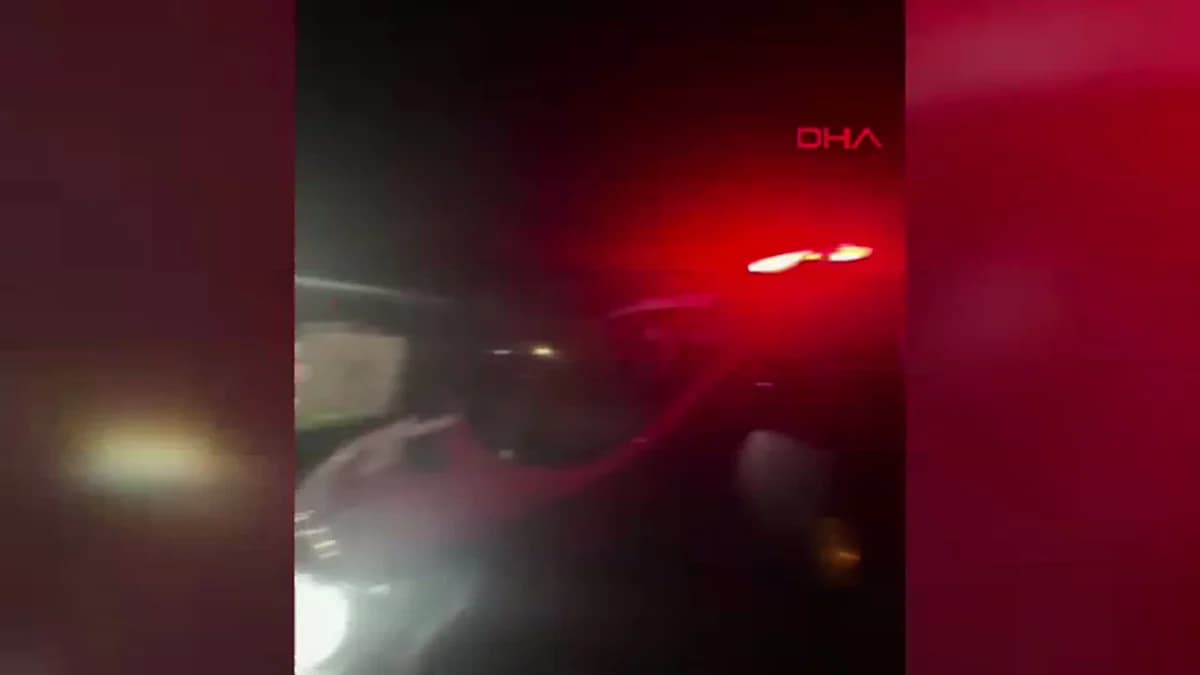 Şırnak’ta Ahır Çöktü: 15 İnek Göçük Altında, 1’i Hayatını Kaybetti