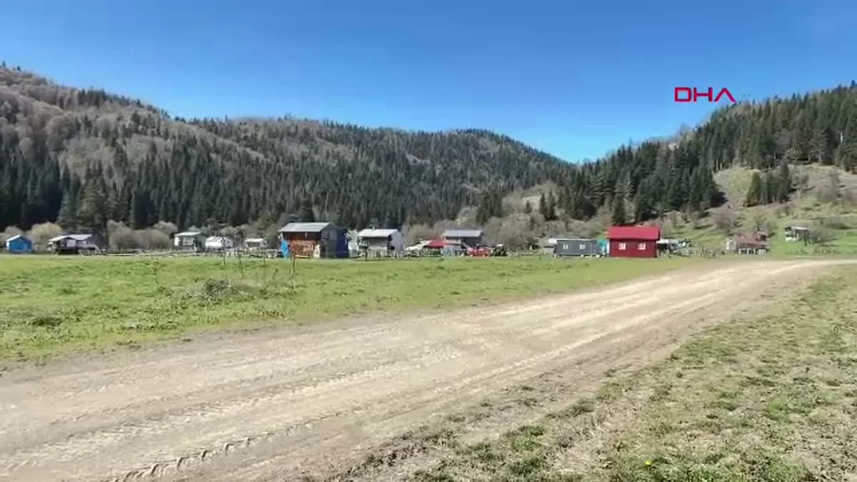 Uluyayla’da Bahar Coşkusu: Doğanın Uyanışı Yeşil ve Rengarenk Görüntülerle Karşıladı