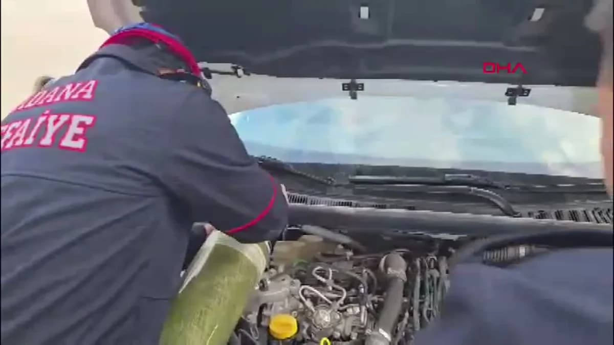 Adana’da Mucize Kurtuluş: Otomobil Motoruna Sıkışan Yavru Kedi İtfaiyenin Şefkatiyle Kurtarıldı
