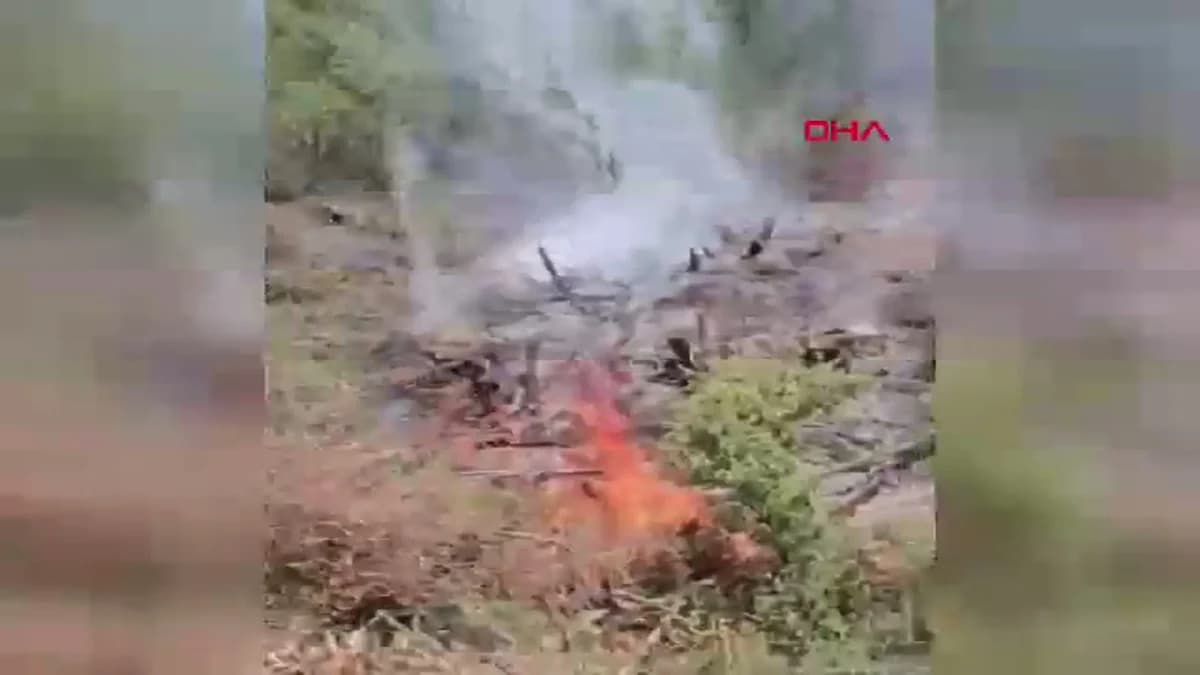 Antalya’da Makilik Yangını Hızla Kontrol Altına Alındı