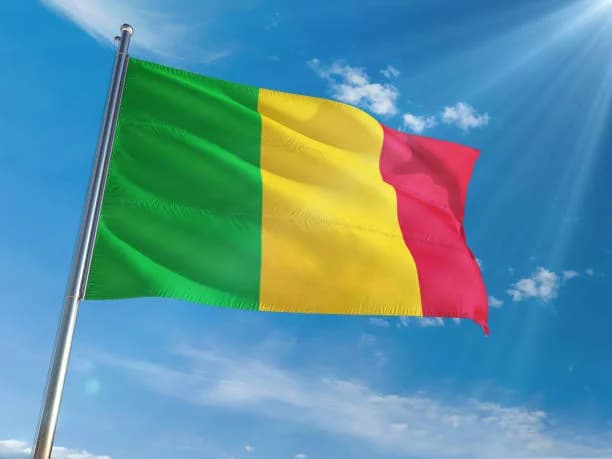 Mali Savunma Bakanı Sadio Camara Şehit Düştü: Ülkede Yas İlan Edildi