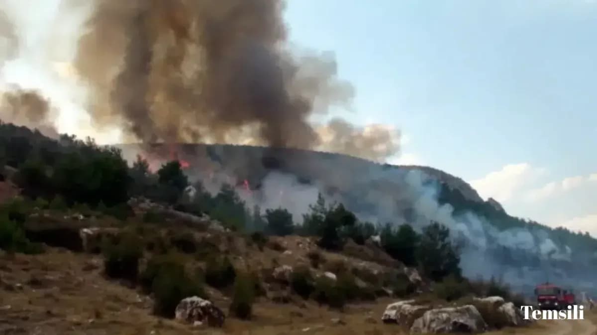Kartal’da Otluk Alanda Ateş Yakan Üç Şüpheli Yakalandı ve Adliyeye Sevk Edildi
