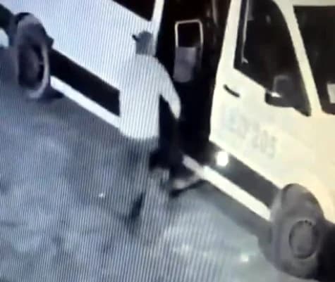 İstanbul Avcılar’da Mahalle Maskotu ‘Garip’ Köpeği Çalan Şüpheli Yakalandı