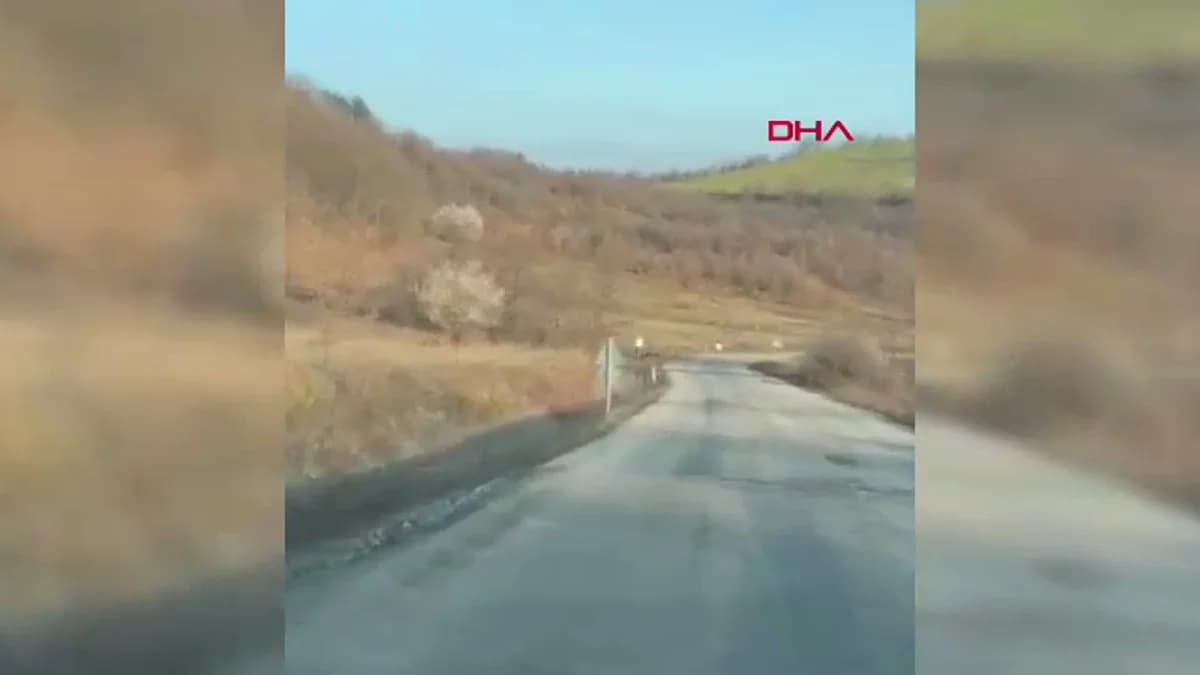 Bursa’da Geyik Sürüsü Yola Çıktı, Sürücüler Şaşkınlık İçinde