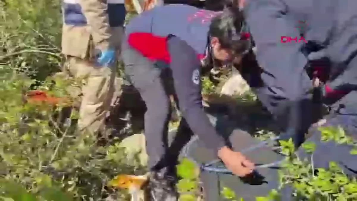 Hatay’da Feci Kaza: Hafriyat Kamyonu Uçuruma Düştü, Sürücü Hayatını Kaybetti