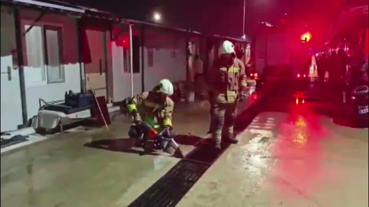 Hatay’da Mazgalda Mahsur Kalan Anne Kedi ve Yavruları Kurtarıldı