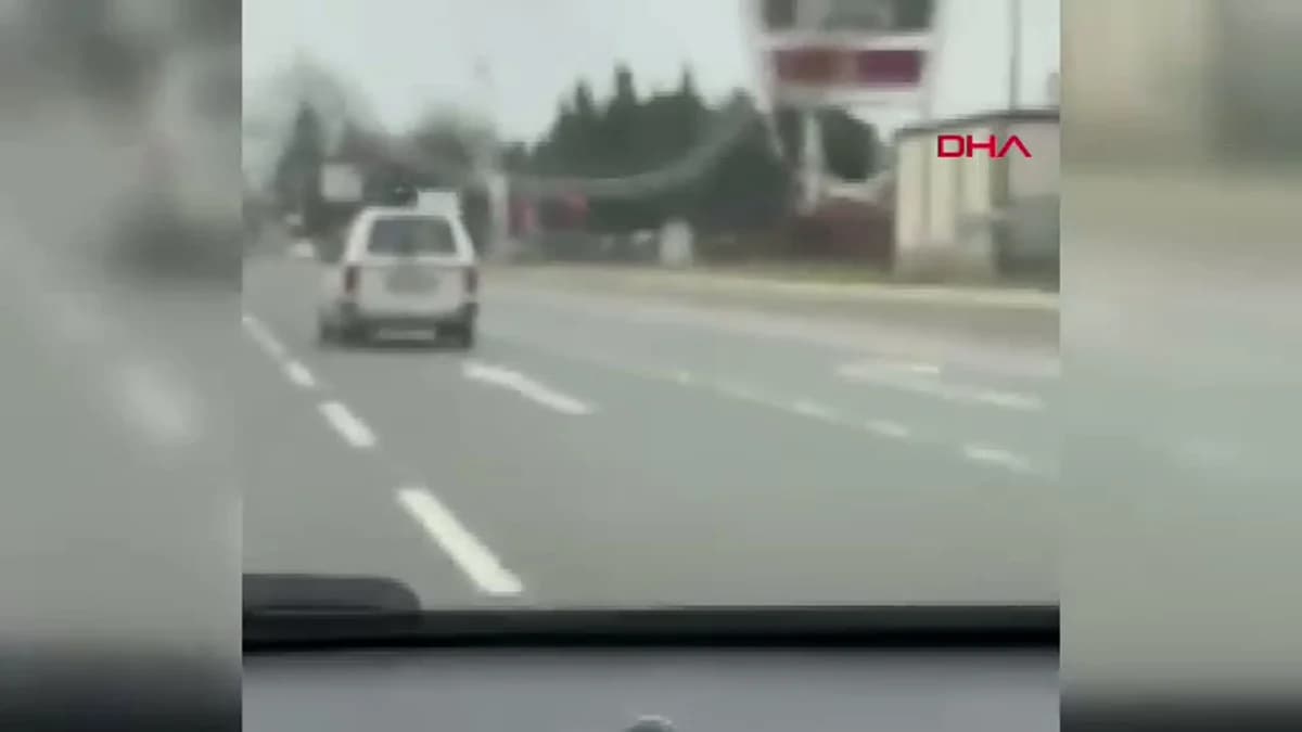 Bursa’da Seyir Halindeki Araçta Meraklı Bir Köpek Kameraya Yansıdı