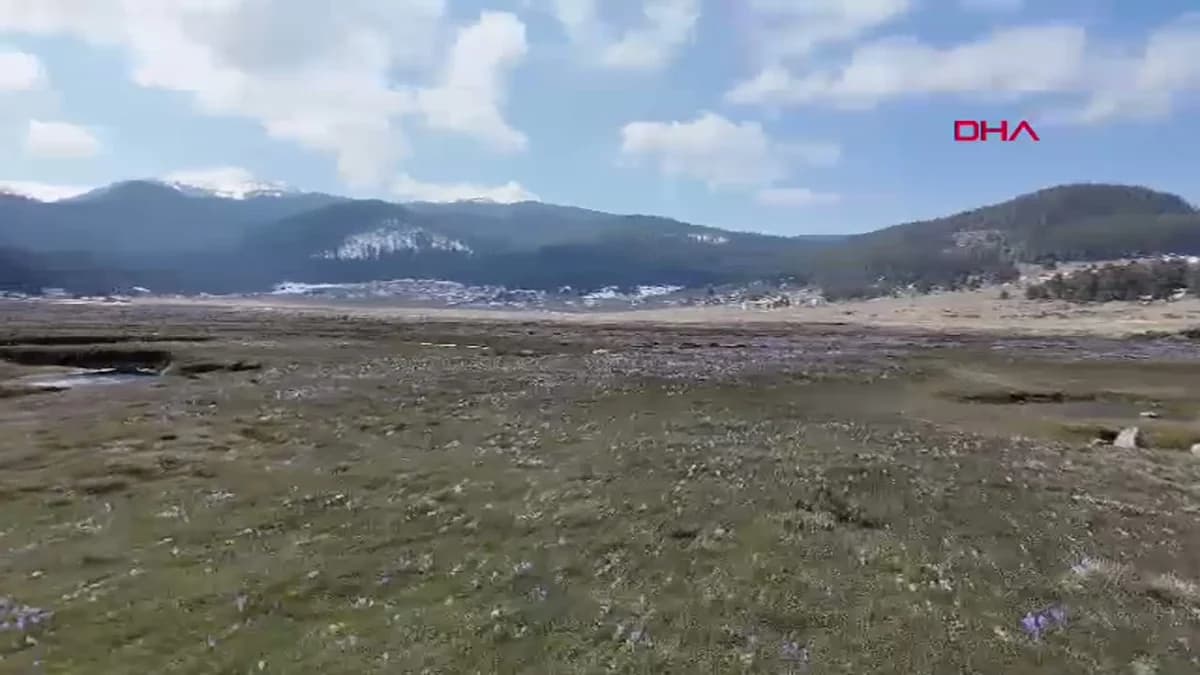 Bolu Yaylaları, Baharın Renkleriyle Şenlendi