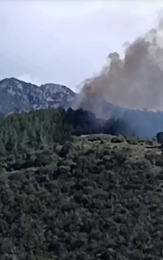 Osmaniye’de Orman Yangını: Ekipler Hızla Müdahale Etti