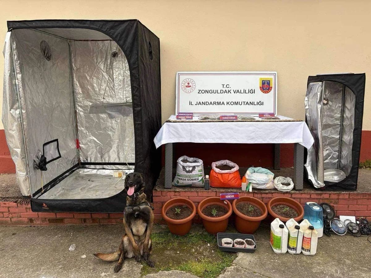Zonguldak’ta Eş Zamanlı Uyuşturucu Operasyonu: 8 Kişi Tutuklandı