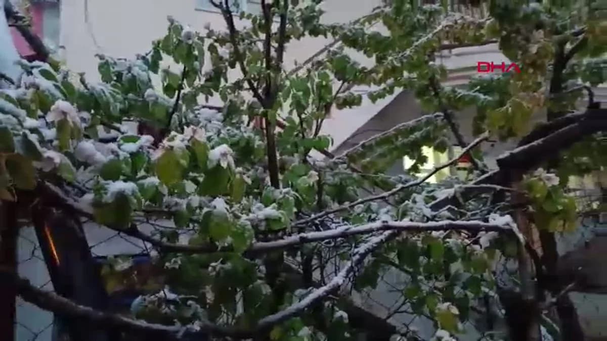 Burdur’da Baharı Vuran Kar: Ağaçlar Beyaza Büründü, Üreticiler Endişeli