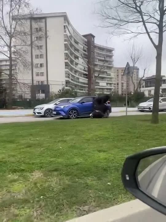 Pendik’te Trafik Tartışması Kanlı Bitti: İki Kadın Saç Saça Kavga Etti