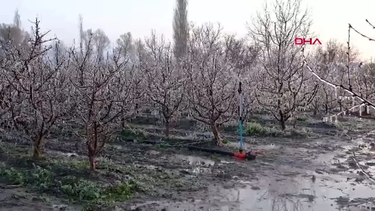 Kayseri’deki Elma Üreticileri Zirai Dona Karşı ‘Spring’ Yöntemini Tercih Ediyor