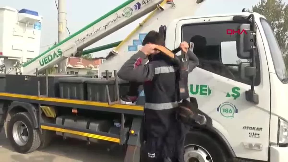 Bursa’da Kuş Yuvayı Koruma Hassasiyeti: Sokak Lambası Yenilendi
