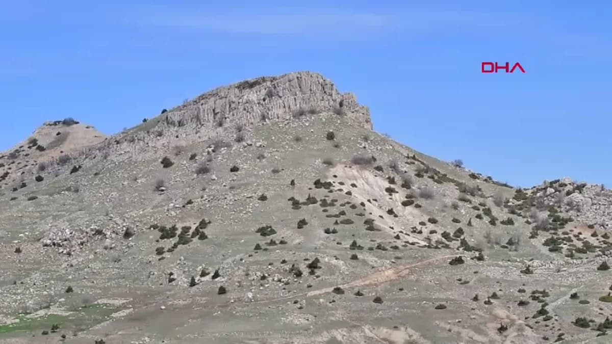 Diyarbakır’da Keşfedilen Yeni Ters Lale Türüne ‘Berçem’ Adı Verildi: ‘Fritillaria bercemiae’ Bilim Dünyasına Tanıtıldı