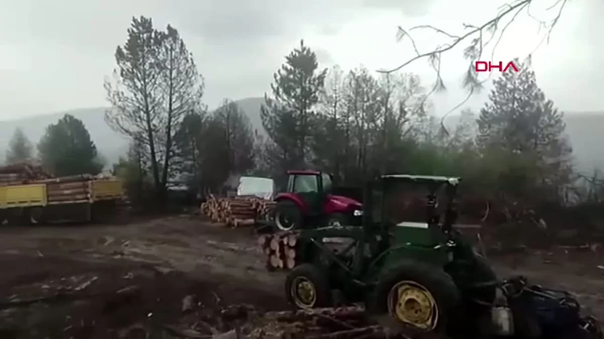 Ormanda Çalışan İşçilerin Korku Dolu Anları: Yıldırım Tepiydi!