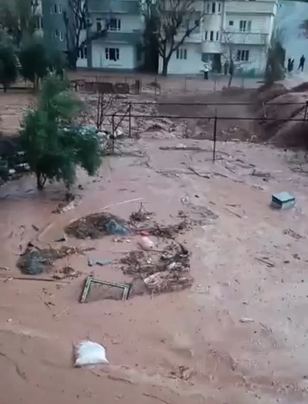 Şırnak’ta Sağanak Yağış: Dereler Taşarak Evleri Su Bastı