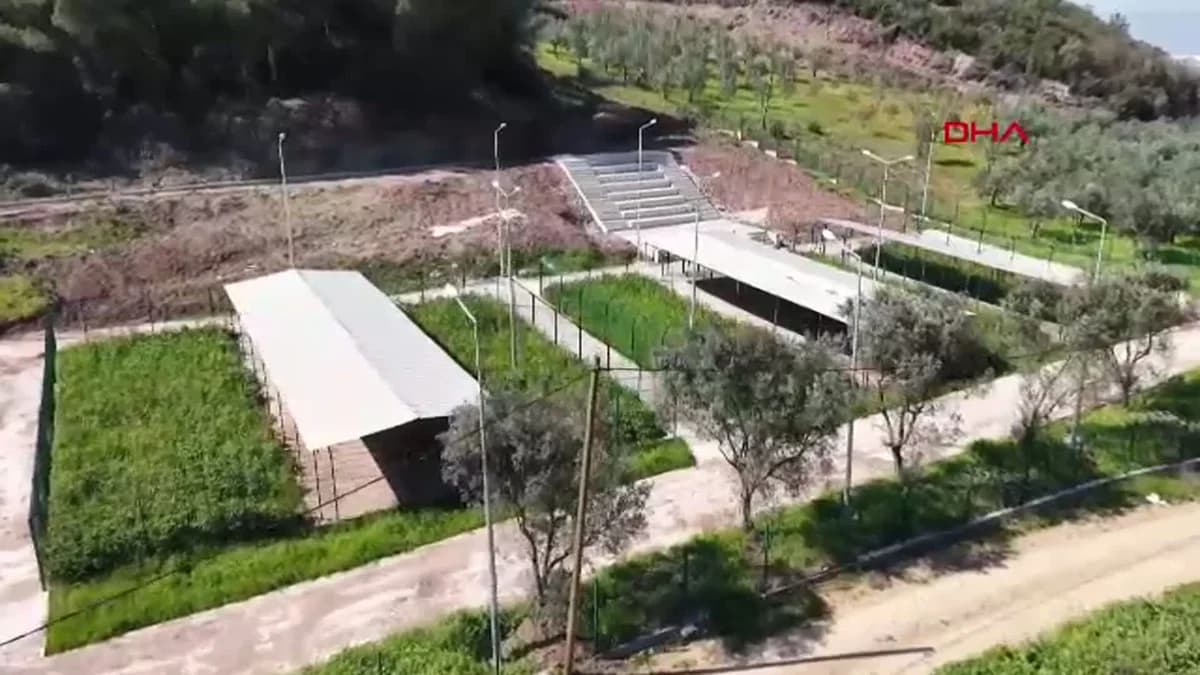Gemlik Belediyesi’nden Yeni Hayvan Rehabilitasyon Merkezi