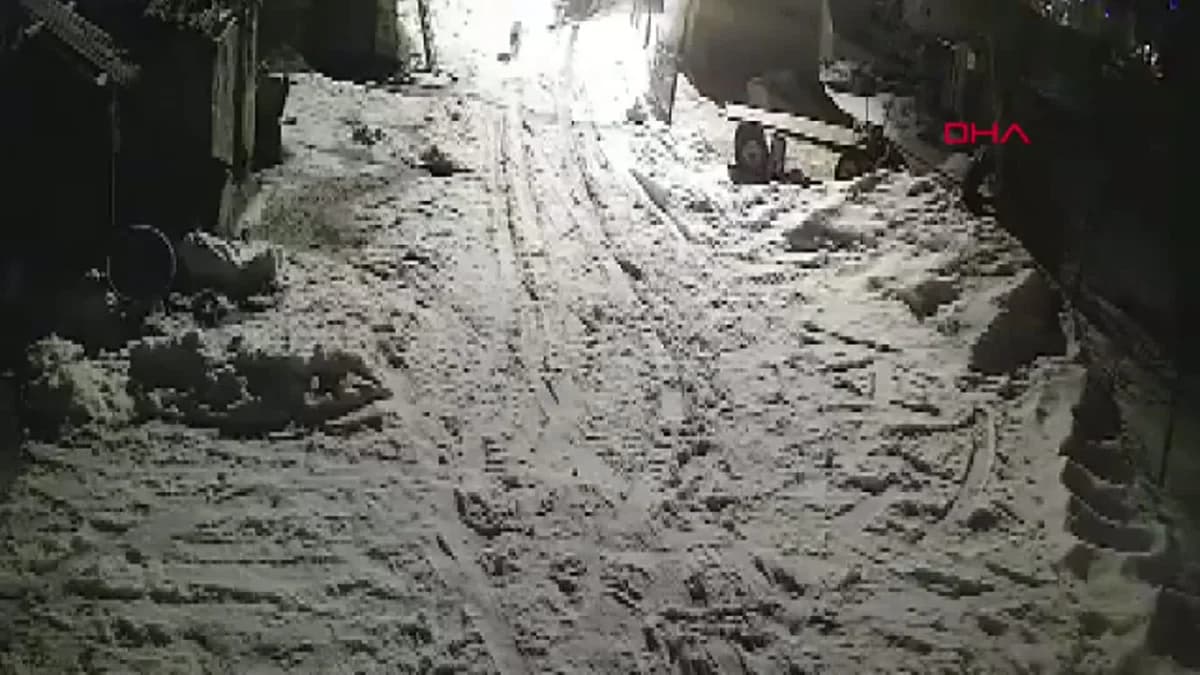 Kars’ta Kurtlar Köpeği Kaçırdı