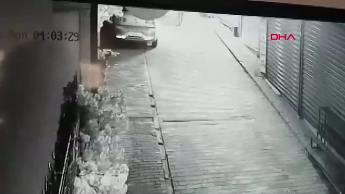 Bursa’da Hırsızlık Olayı: Camı Açamayınca Süs Ağacını Çaldı
