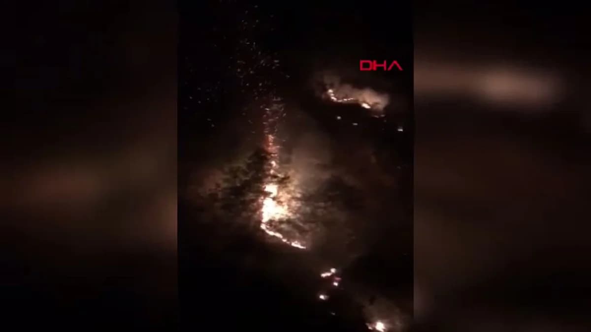 Antalya’daki Orman Yangını Hızla Söndürüldü