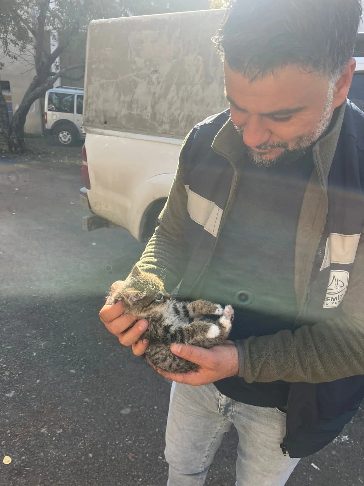 Van’daki Yavru Kedi Çatıda Mahsur Kaldı, İtfaiye Tarafından Kurtarıldı