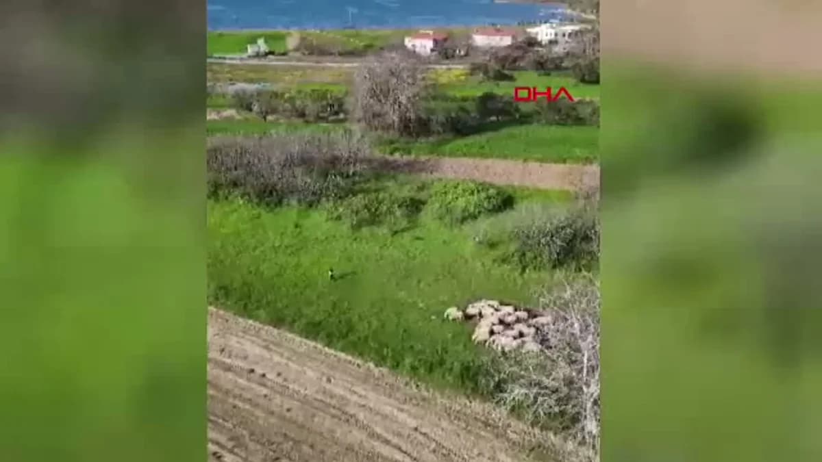 Çanakkale’den Geleceğe Miras: ‘Boğazın Minik Çobanları’ Projesi Başlıyor!