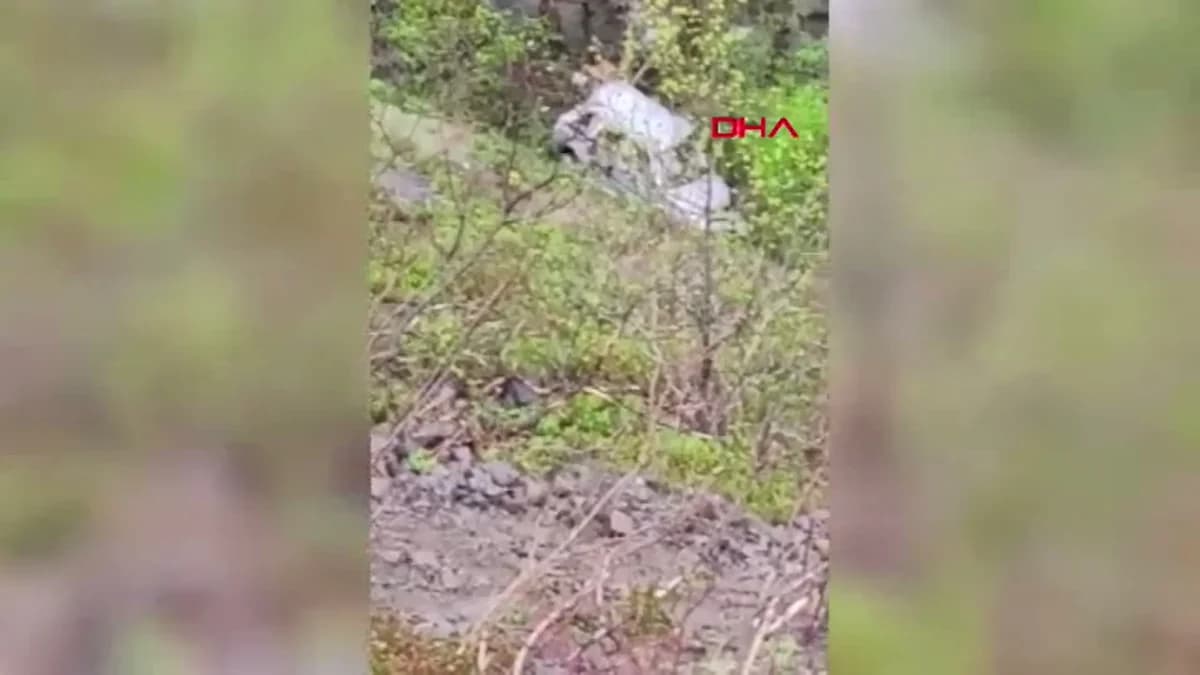 Artvin’de Uçuruma Yuvarlanan Araçta Kritik Anlar: Sürücü ve Kurtarma Görevlisi Hastaneye Kaldırıldı