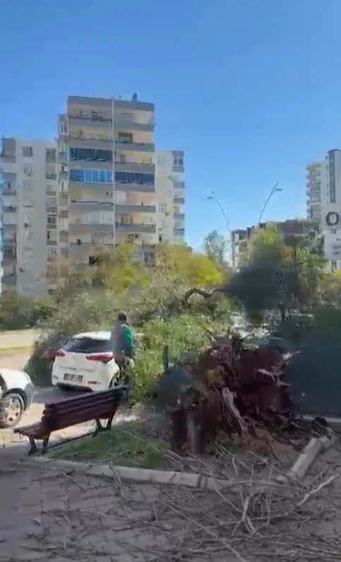 Adana’da Fırtına Ağaçları Devrildi: Hasar Tespit Edildi