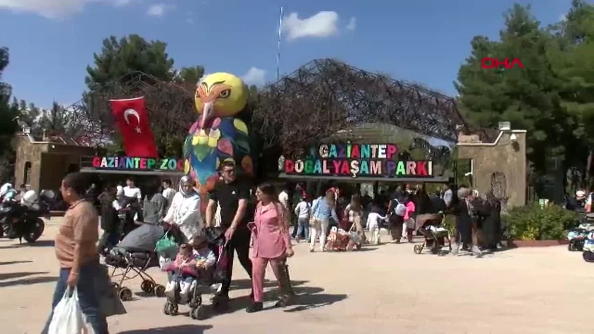 Türkiye’nin İlk Doğal Zürafasına İsim Anketle Seçilecek: Gaziantep’ten Tarihi An!