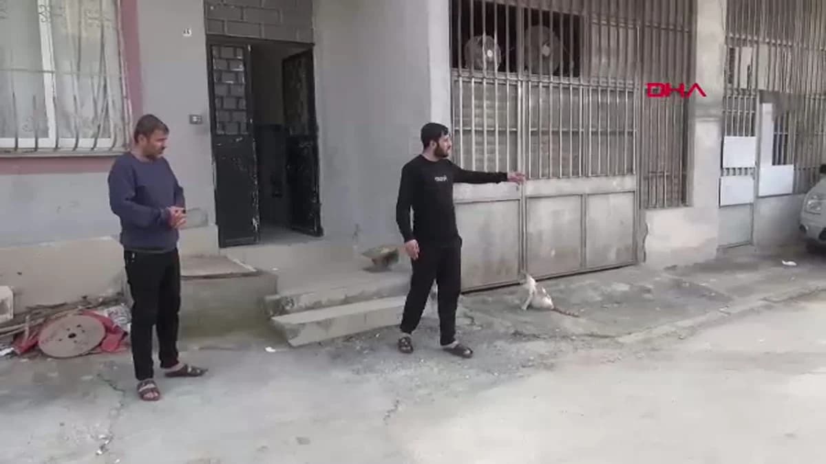 Mersin’de Çatışmada Hayatını Kaybeden Anne İçin Adalet Arayışı