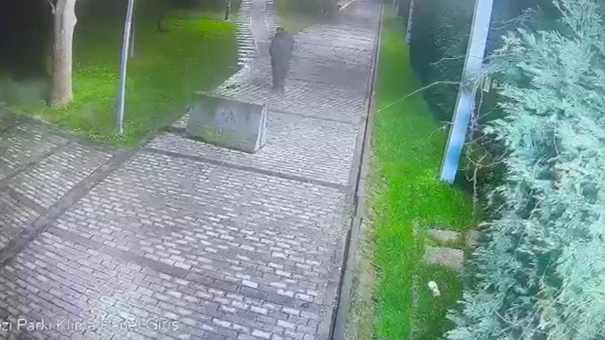 Beyoğlu’nda Hırsızlık Şoku: Cep Telefonunu Çalan Şüpheli Yakalandı