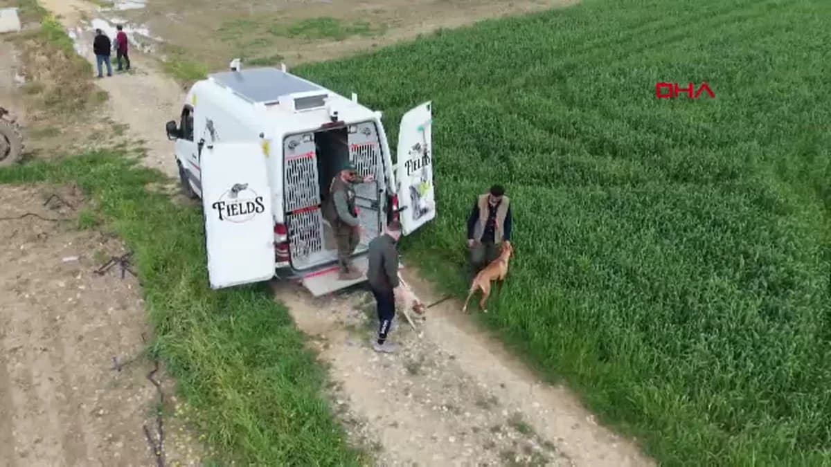 Kozan’da Avcı ve Köpek Yarışması Renkli Anlara Sahne Oldu
