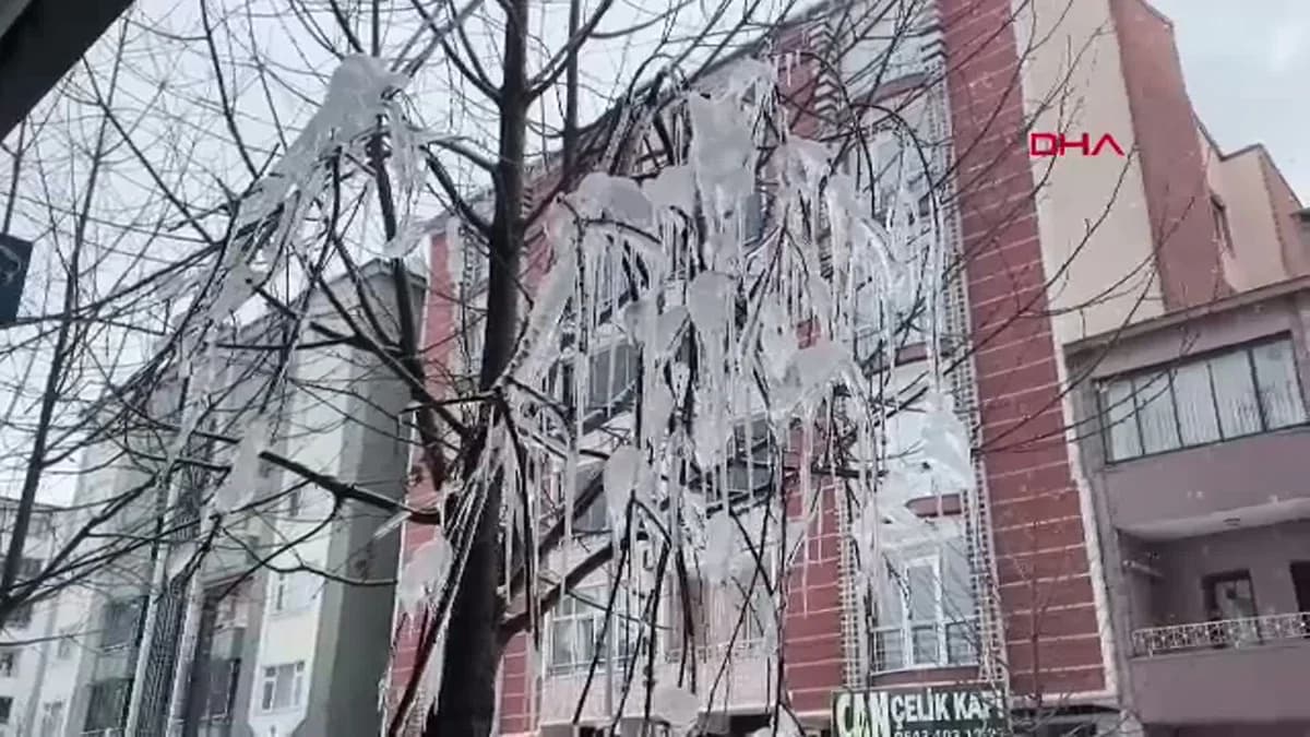 Kars’ta Ağaç Dalları Buz Kapladı
