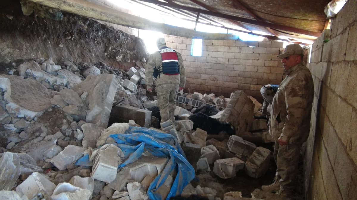 Kilis’te Şiddetli Yağış Ahırı Çökerdi; 40 Koyun Telef Oldu