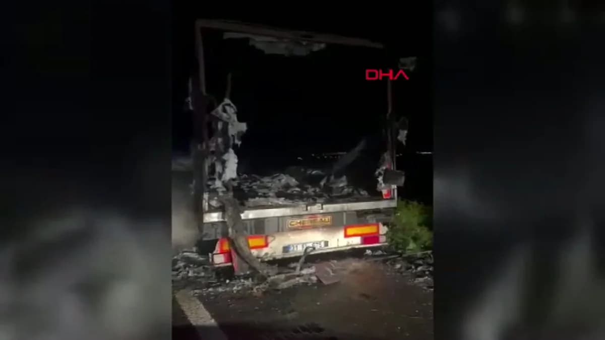 Mardin’de Seyir Halindeki TIR Alev Alev Yandı