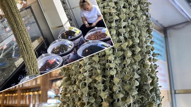 Çiçek Bamya Fiyatlarındaki Düşüş: Altınla Yarışan Bitki Artık Daha Erişilebilir!