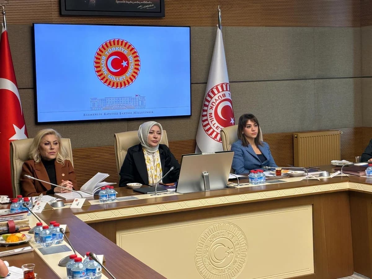 Kadın Cinayetlerinde Alarm: Koruma Kararı Olmayanlar Yüzde 88