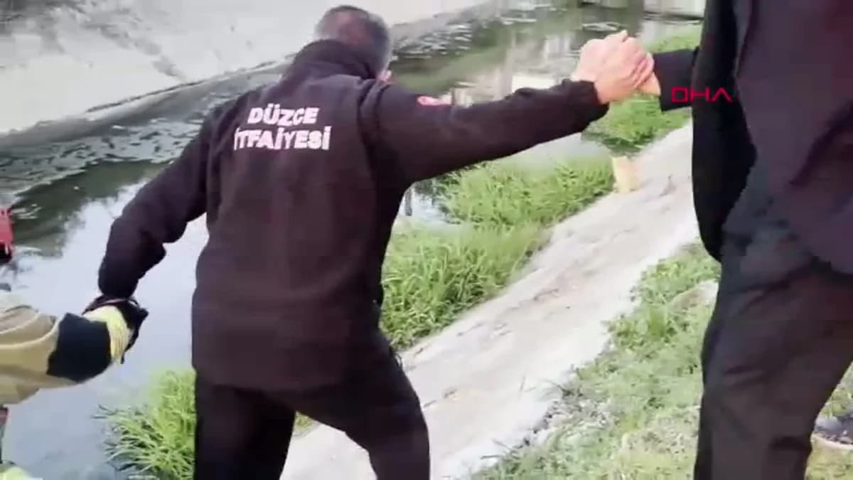 Düzce’de Kanala Düşen İki Yavru Kedi, İtfaiye Ekipleri Tarafından Kurtarıldı