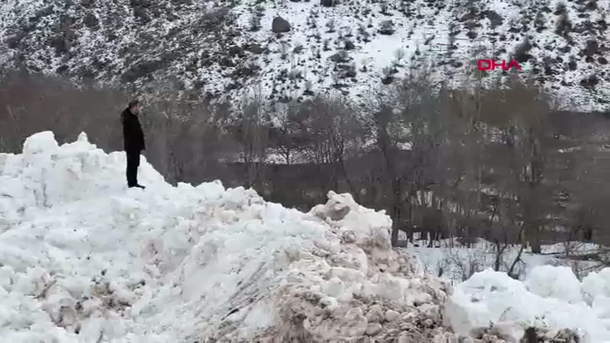 Yüksekova’da Yeşiltaş Köyü’ne Düşen Çığ Korku Yarattı