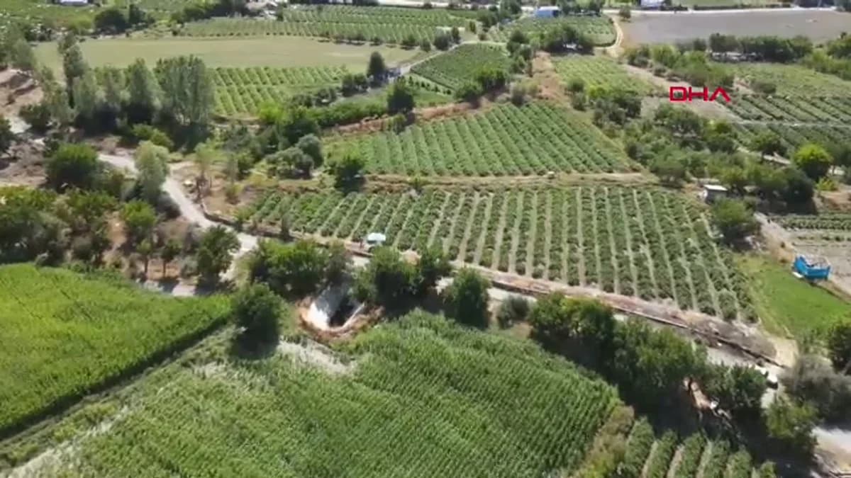 Erzincan Tulum Peyniri ve Cimin Üzümü, Slow Food ‘Ark of Taste’ Listesinde
