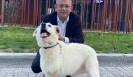 CHP Genel Başkanı Özel, sokak hayvanları yasasına sert tepki gösterdi.