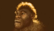 Neandertallerin Soyu Neden Tükendi? Yeni Araştırmalar ne diyor