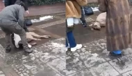 Elektrik Kaçağı Köpeği Hayattan Koparıyordu! Son Durumu Ne?